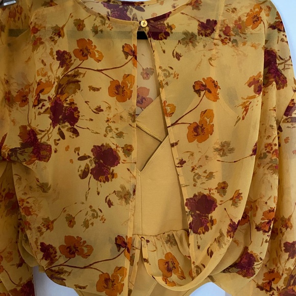 Wilfred Sheer Bodysuit - Picture 3 of 4